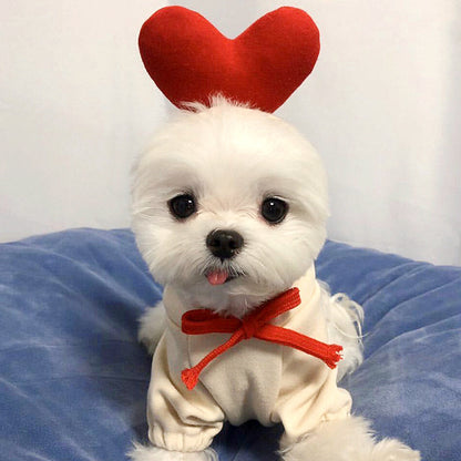 Dog autumn and winter small medium-sized dog love two feet clothes cat cute pet clothing supplies spot wholesale