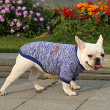 Dog cat pet clothes Autumn and winter hoodie two legs clothing supplies wool small medium-sized dog