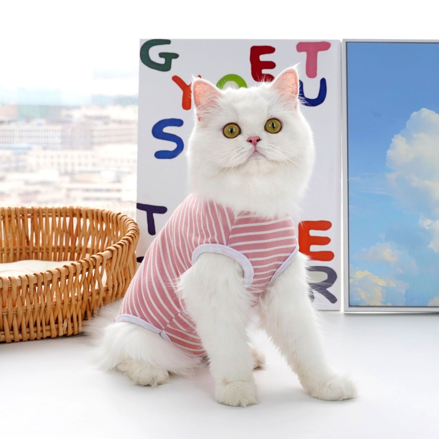 Four-season pure color striped cat spayed dress