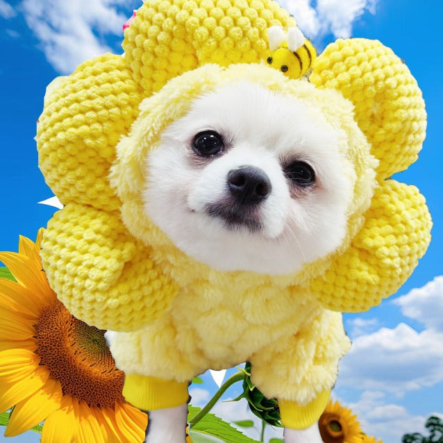 New products of autumn and winter clothing items - Sunflower dog hats transformed into  jackets