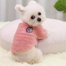 Autumn and winter warm two-legged dog pet supplies Cat clothes Small big dog Teddy New Year costume