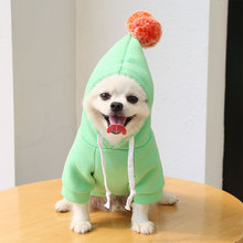 With ball cartoon hoodie dog cat pet teddy autumn and winter clothing supplies wholesale