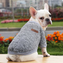 Dog cat pet clothes Autumn and winter hoodie two legs clothing supplies wool small medium-sized dog