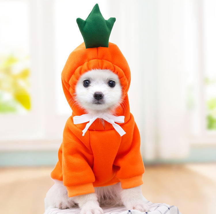 Dog autumn and winter small medium-sized dog love two feet clothes cat cute pet clothing supplies spot wholesale