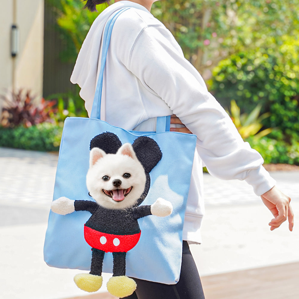 Portable bag for taking dogs and cats out for fresh air