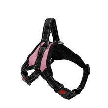 Pet leash outdoor dog chest strap walk cat walk dog explosion-proof flush large dog supplies manufacturers wholesale