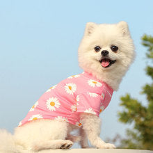 Dog cat clothes Spring summer fall new travel pet clothes small medium-sized dog Daisy