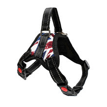 Pet leash outdoor dog chest strap walk cat walk dog explosion-proof flush large dog supplies manufacturers wholesale