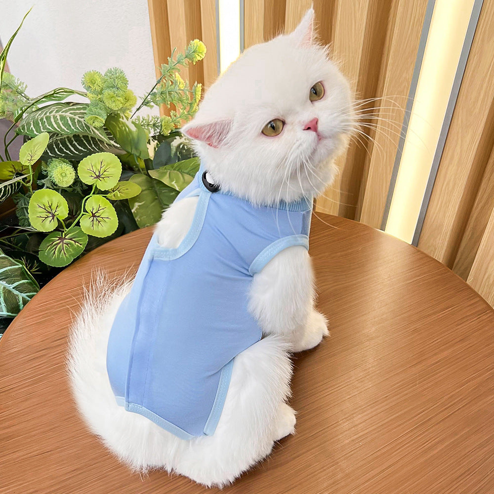 Cat spaying post-operative clothing