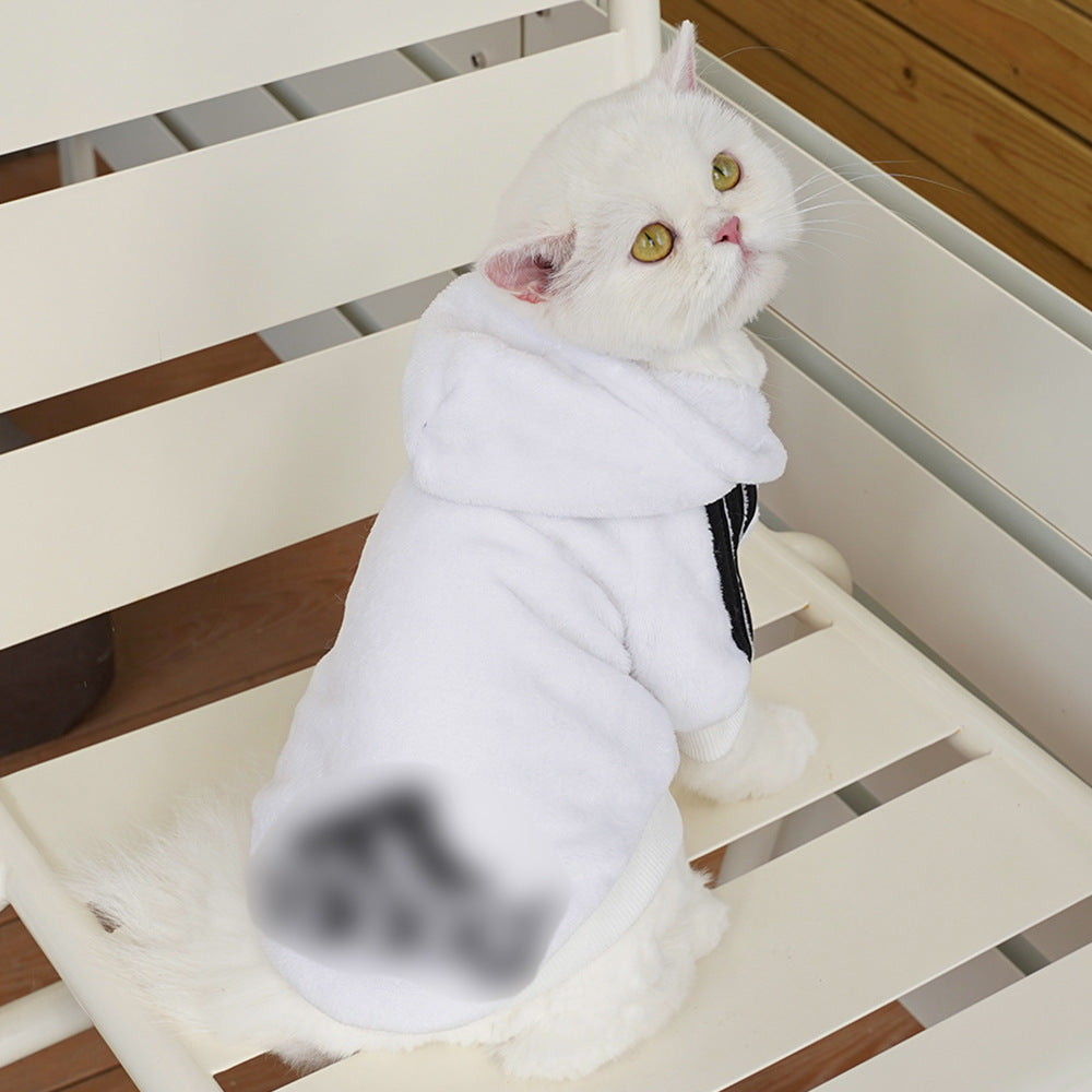 Pet clothing Flannel two feet fashion brand hoodie word bitch dog cat small medium and large dog supplies