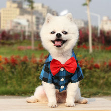 Plaid shirt suit wedding dress dog and cat costume