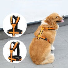 Large dog Large dog pet farm dog Local dog supplies chest strap