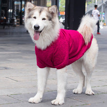 Manufacturers wholesale large and small dogs golden fur Samo husky edge grazing cat autumn and winter clothing pet supplies clothing