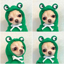 Small medium-sized dog fruit hoodie dog cat Autumn and winter hoodie fleece clothing supplies pet Teddy