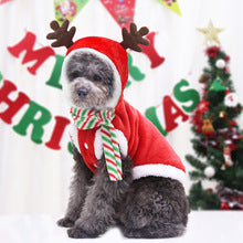 Autumn and winter flannel warm festive pet dog and cat clothing Christmas clothing New Year holiday supplies