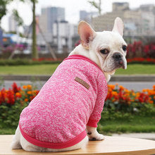 Dog cat pet clothes Autumn and winter hoodie two legs clothing supplies wool small medium-sized dog