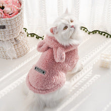 Pet clothing autumn and winter new rabbit ear soft cotton wool hoodie dog clothing supplies