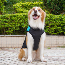 Pet clothing autumn and winter out warm cotton vest dog dog cat medium and large dog clothing wholesale