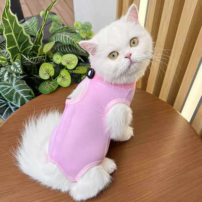 Cat spaying post-operative clothing