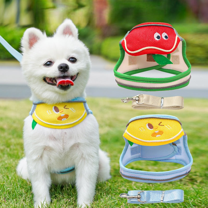 chest and back straps, leash, all-season model, mesh for ventilation