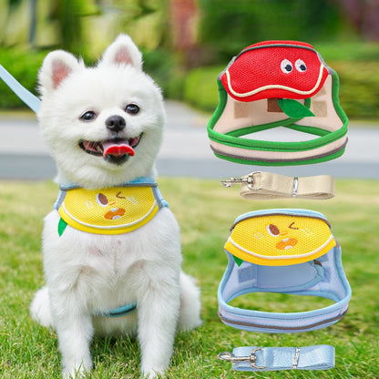 chest and back straps, leash, all-season model, mesh for ventilation