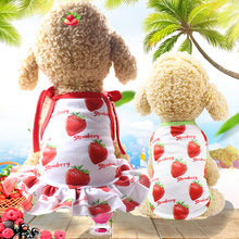 Pet fruit Strawberry banana print puppy dog clothes Cat skirt T-shirt vest