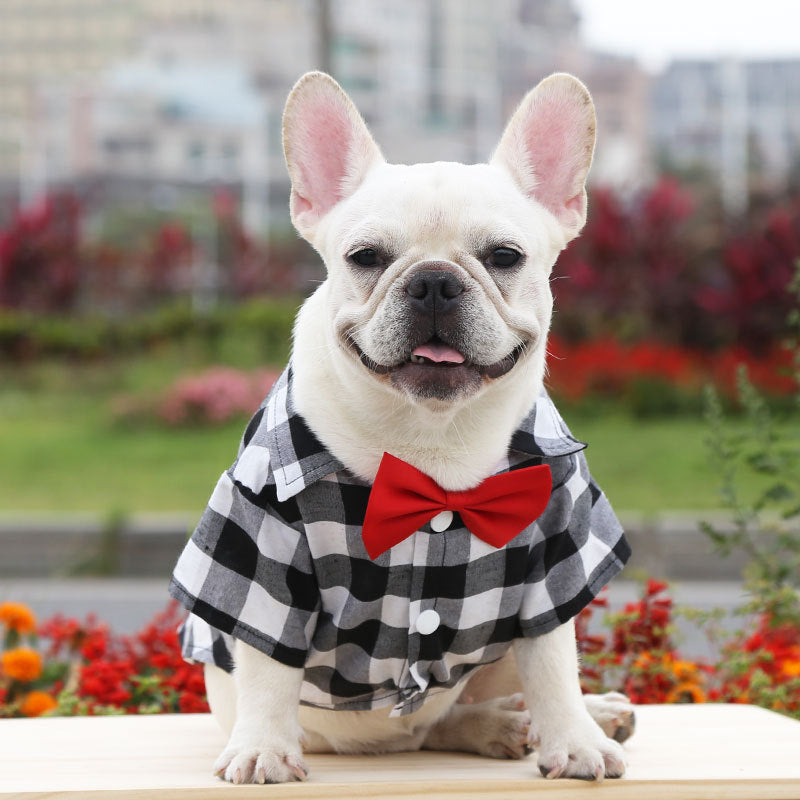 Plaid shirt suit wedding dress small medium large dog pet clothes