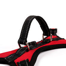 Pet leash outdoor dog chest strap walk cat walk dog explosion-proof flush large dog supplies manufacturers wholesale