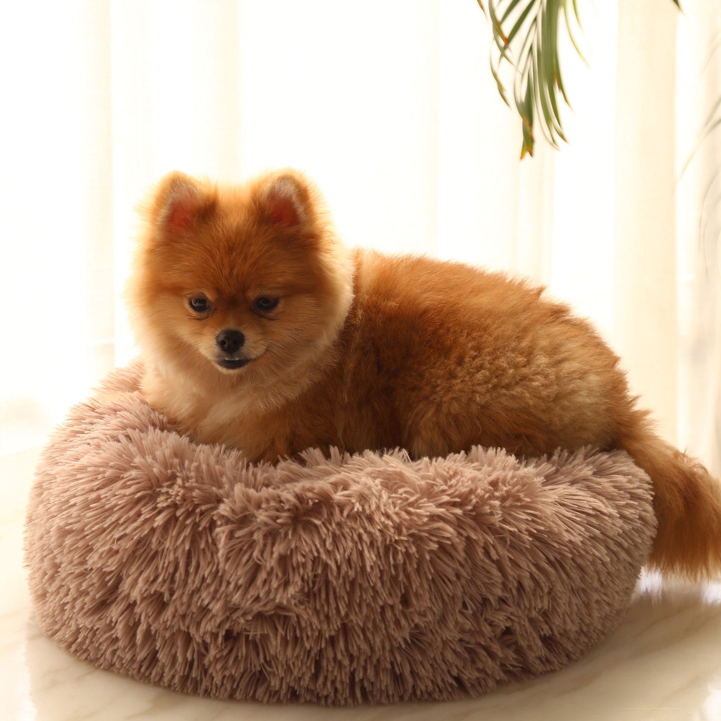 Winter round plush pet bed for small, medium and large-sized pets