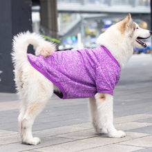 Medium and large dog autumn and winter wool hoodie warm pet dog and cat clothing supplies