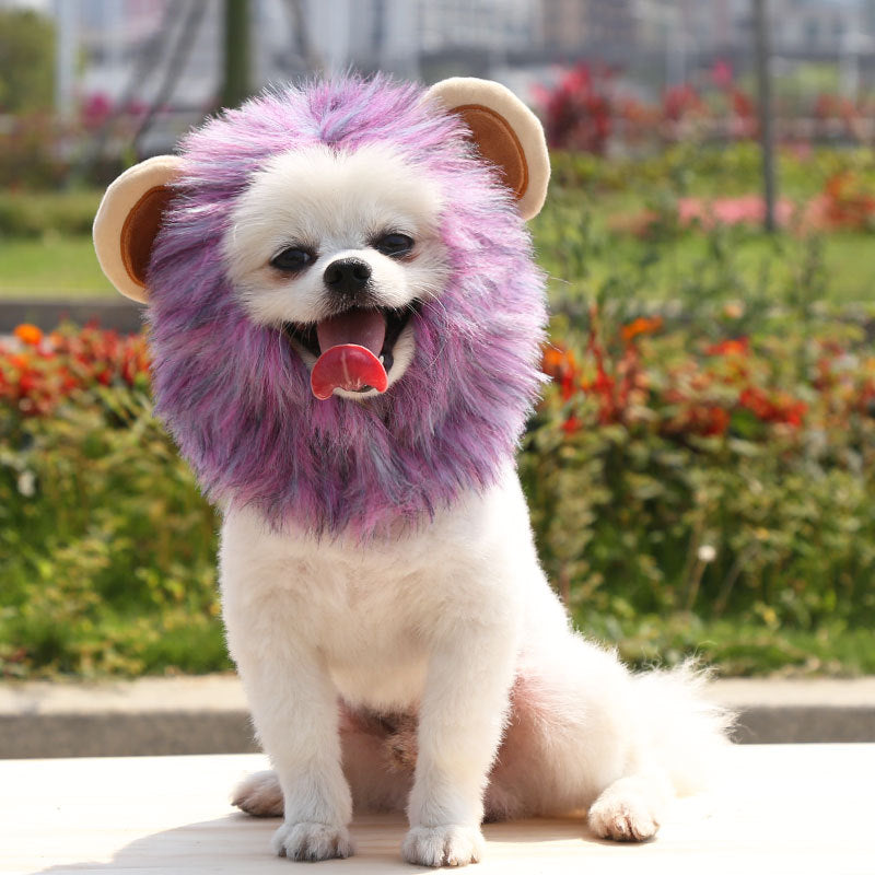 Halloween lion turns into an adjustable pet hat