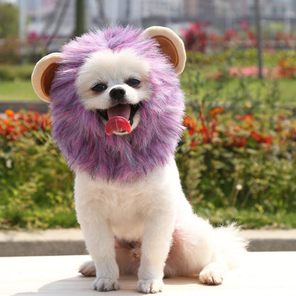 Halloween lion turns into an adjustable pet hat