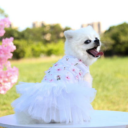 Pet dog cat peach blossom dress Teddy pet supplies clothing manufacturers wholesale