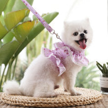 Dog cat pet clothing Chest strap leash Lace lace Teddy Bichon Spring summer fall dog leash supplies