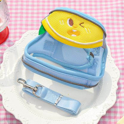 chest and back straps, leash, all-season model, mesh for ventilation