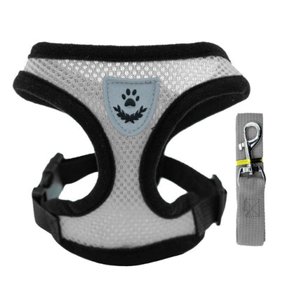 New pet walk dog cat chest strap outdoor leash collar clothes explosion-proof flushing supplies wholesale
