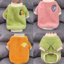 Autumn and winter warm two-legged dog pet supplies Cat clothes Small big dog Teddy New Year costume