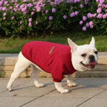 Dog cat pet clothes Autumn and winter hoodie two legs clothing supplies wool small medium-sized dog