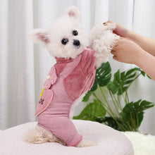 Autumn and winter Teddy small medium-sized dog dog than bear pet cat thick warm four-legged clothing supplies