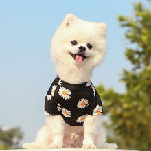 Dog cat clothes Spring summer fall new travel pet clothes small medium-sized dog Daisy