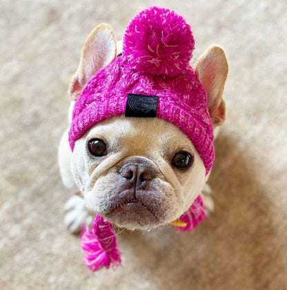 Warm soft cotton wool small medium-sized dog dog cat hat and headgear