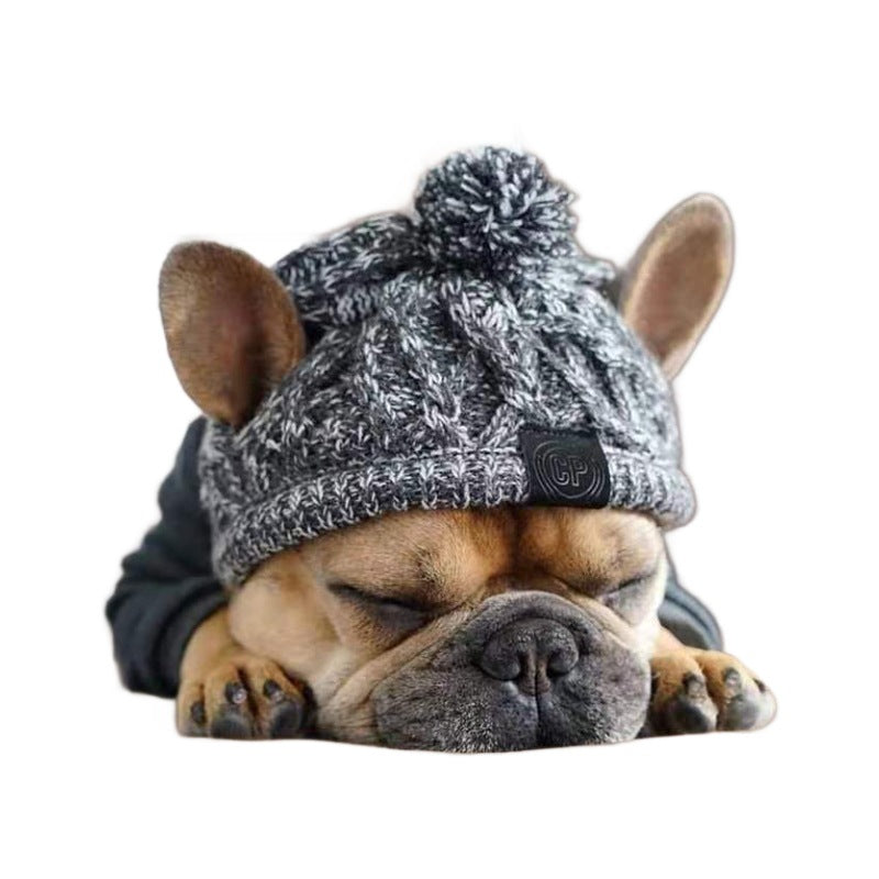Cute fashion wool dog cat hat