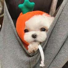 Turn dog cat small medium-sized dog autumn and winter hoodie fleece clothing manufacturers direct sales