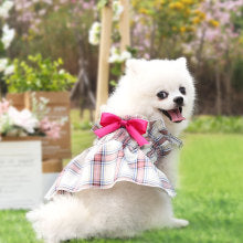 Plaid dress son pleated dog cat small medium-sized dog pet clothes Princess wedding dress supplies two-legged clothes