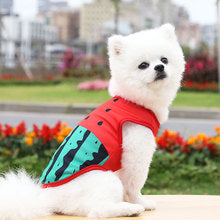 Watermelon vest Crab Spring/Summer Mesh Breathable Dog Clothing Vest Cat pet supplies Teddy Comfort