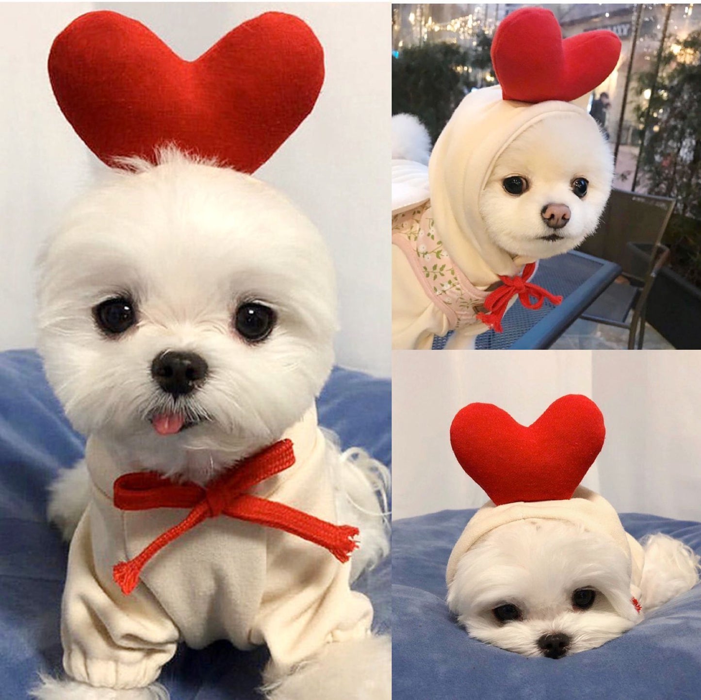 Dog autumn and winter small medium-sized dog love two feet clothes cat cute pet clothing supplies spot wholesale