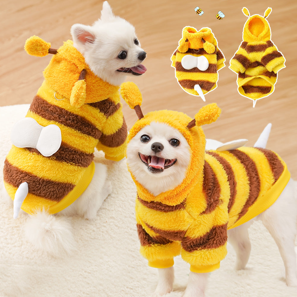 Pet clothing transforms into warm winter and autumn dog and cat outfits