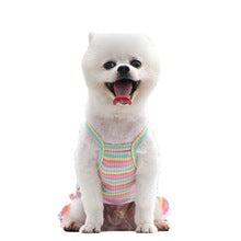 Rainbow striped slip dress Elastic knit small Big Dog cat pet spring and summer clothing supplies