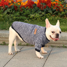 Dog cat pet clothes Autumn and winter hoodie two legs clothing supplies wool small medium-sized dog