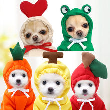 Small medium-sized dog fruit hoodie dog cat Autumn and winter hoodie fleece clothing supplies pet Teddy